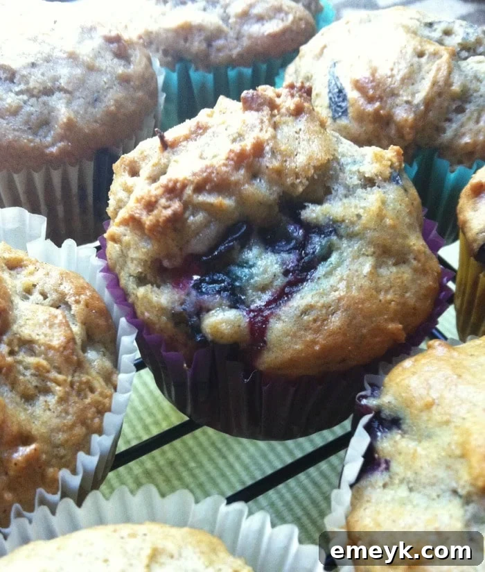 featured 9719
