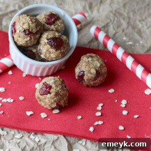 Peanut Butter and Jelly No-Bake Snack Bites finished product