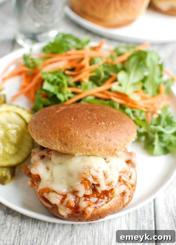 Turkey Sloppy Joes served on a bun with fresh garnish