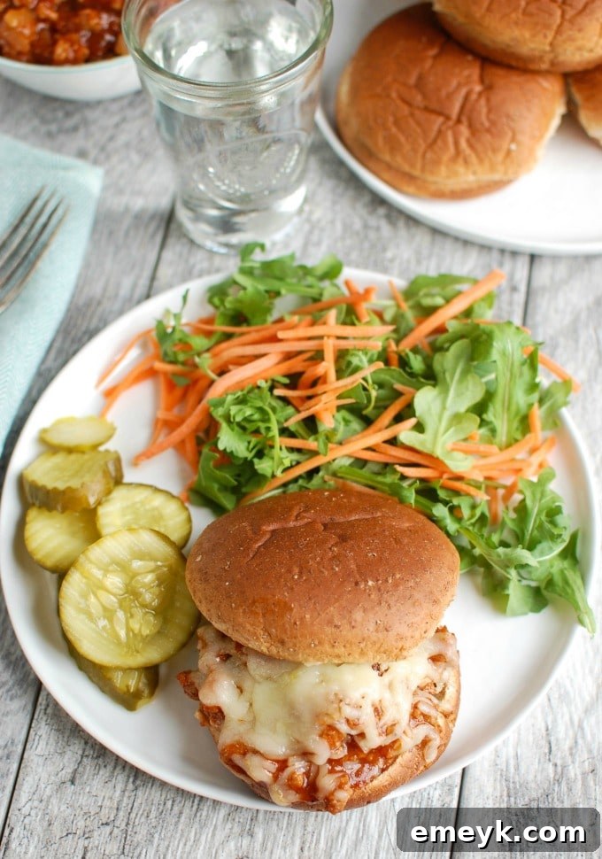 Turkey Sloppy Joes served with a fresh salad