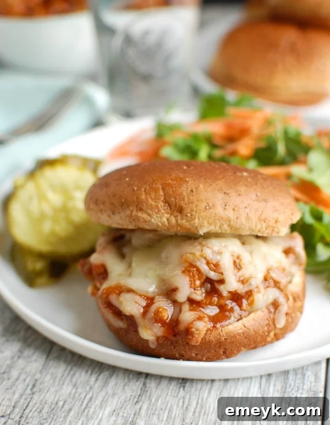 Turkey Sloppy Joes on a plate with side dish