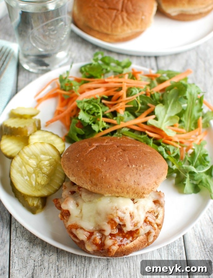 Turkey Sloppy Joes ready to be served