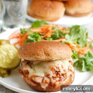 Turkey Sloppy Joes with salad