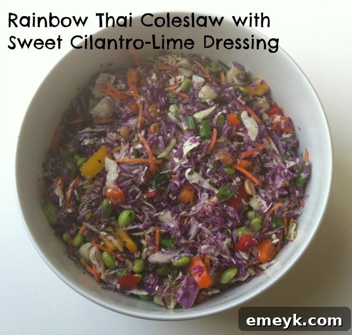 Vibrant Thai Slaw with Sweet Cilantro Lime Dressing 2 Colorful Rainbow Thai Coleslaw with Sweet Cilantro-Lime Dressing, a perfect healthy meal