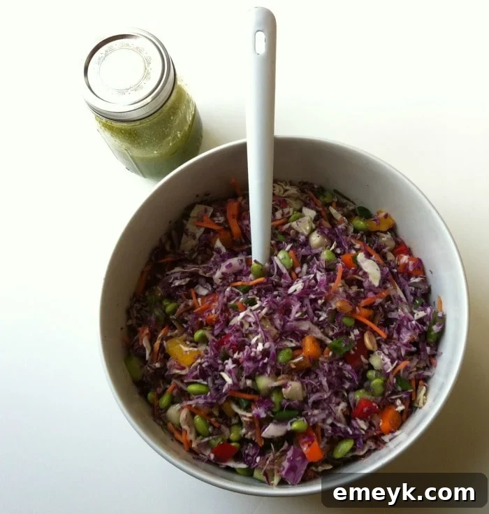 Vibrant Thai Slaw with Sweet Cilantro Lime Dressing 7 Ready-to-serve Rainbow Thai Coleslaw with Sweet Cilantro-Lime Dressing, a delicious and nutritious dish
