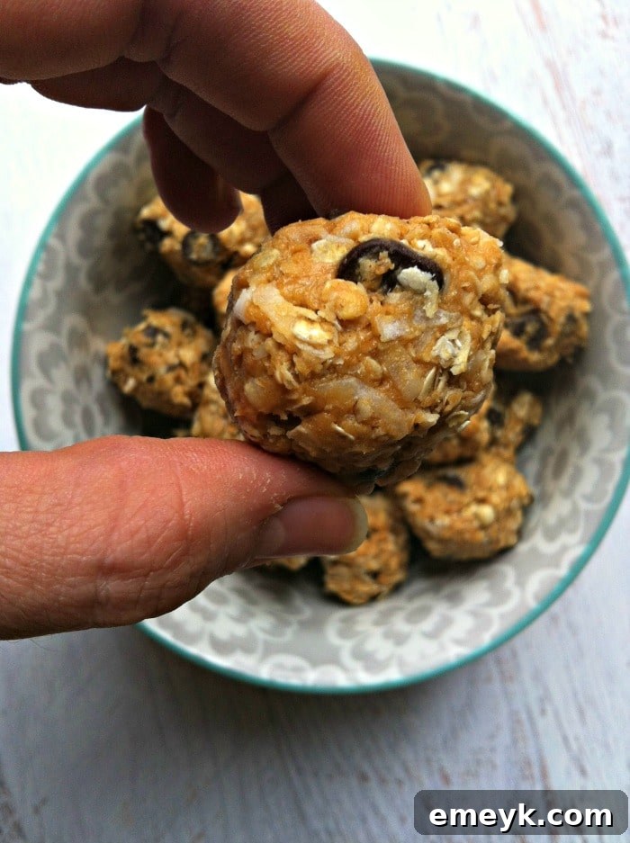 Close-up of a hand holding a single, perfectly formed Peanut Butter Coconut Oatmeal Bite, showcasing its delicious texture.