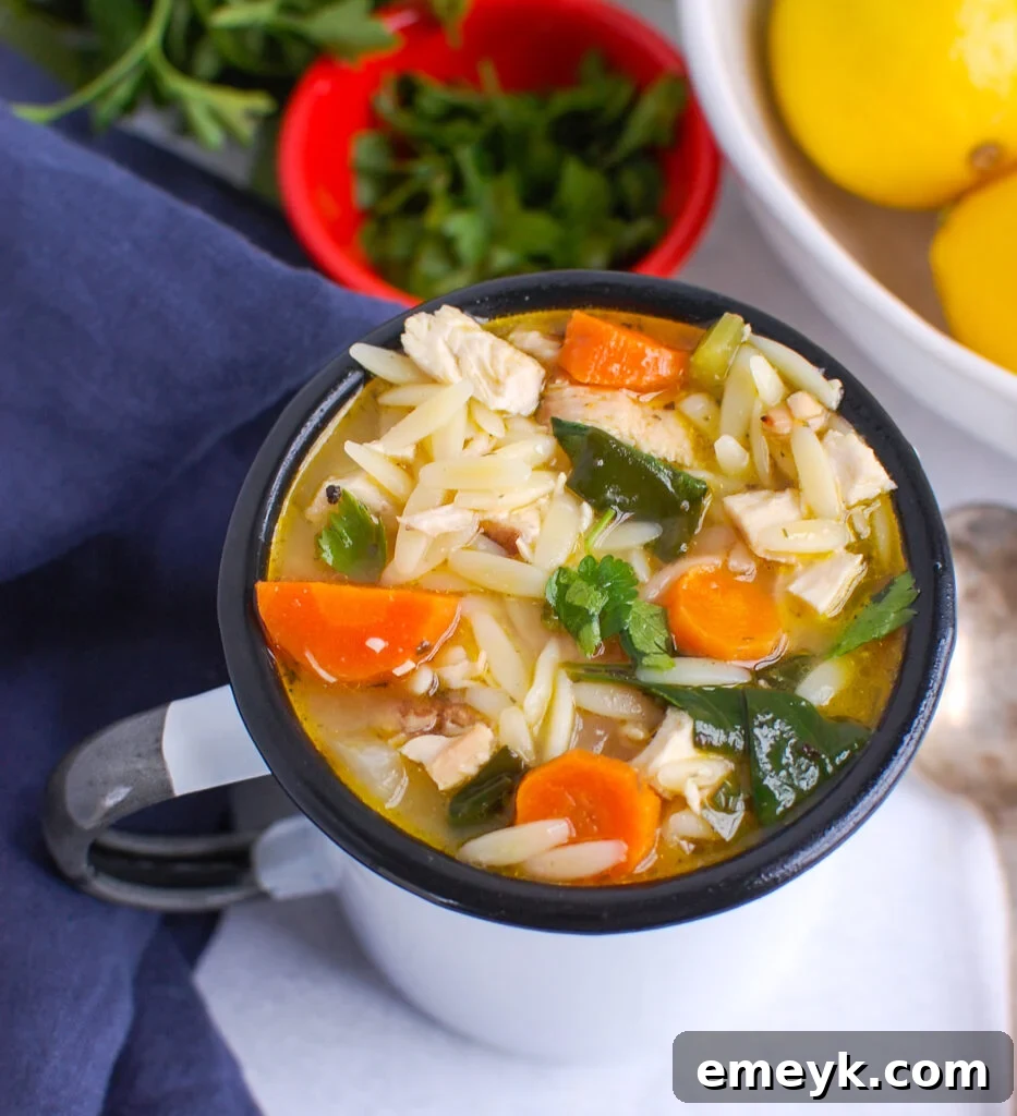 Sunshine Lemon Chicken Orzo Soup 3 Lemon Chicken Orzo Soup in a white mug, garnished with parsley