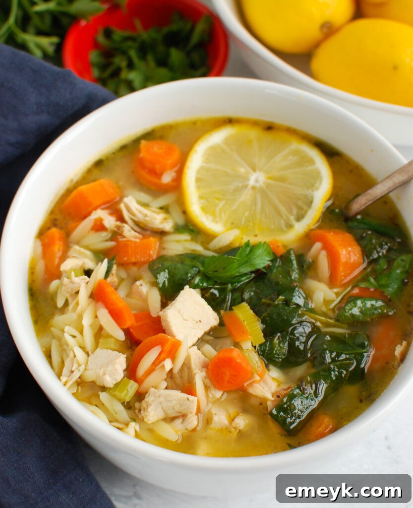 Sunshine Lemon Chicken Orzo Soup 5 Close-up of Lemon Chicken Orzo Soup with a spoon, showing pasta, chicken, and vegetables