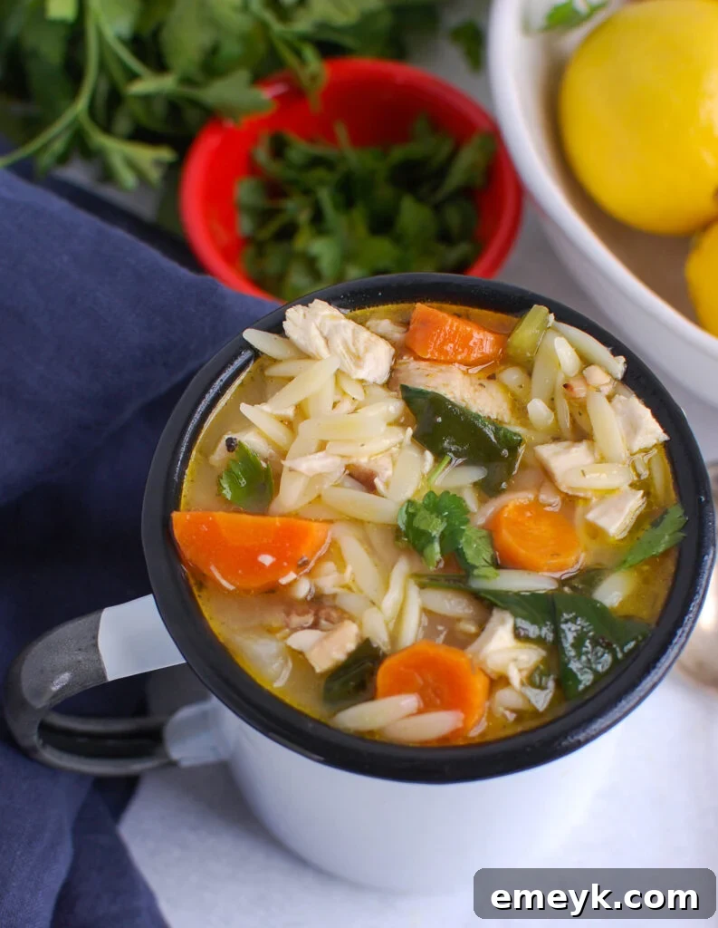 Sunshine Lemon Chicken Orzo Soup 8 Lemon Chicken Orzo Soup in a small cup, garnished with a lemon slice and herbs
