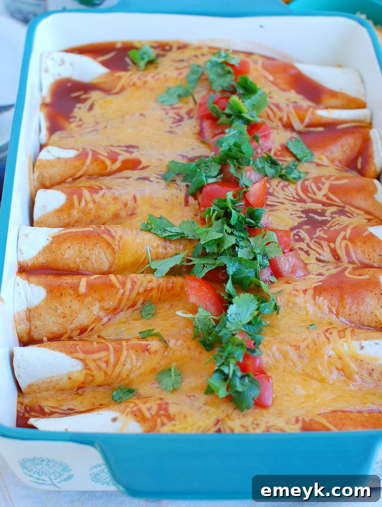 Easy Chicken Enchiladas in blue pan