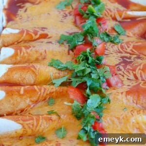 Easy Chicken Enchiladas 1200 x 1200