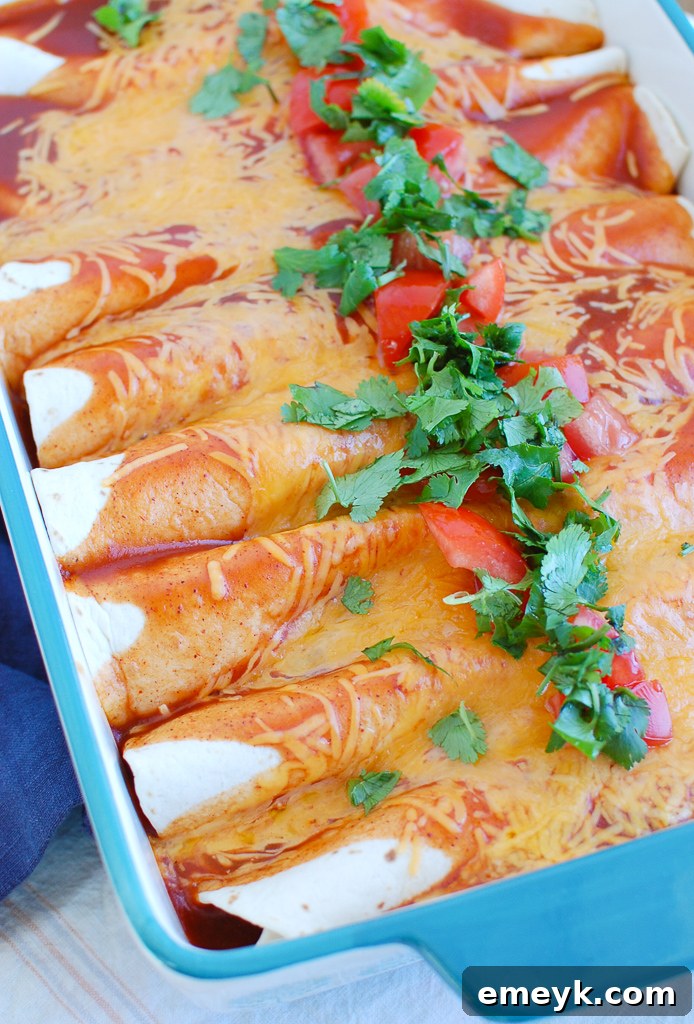Easy Chicken Enchiladas with cilantro