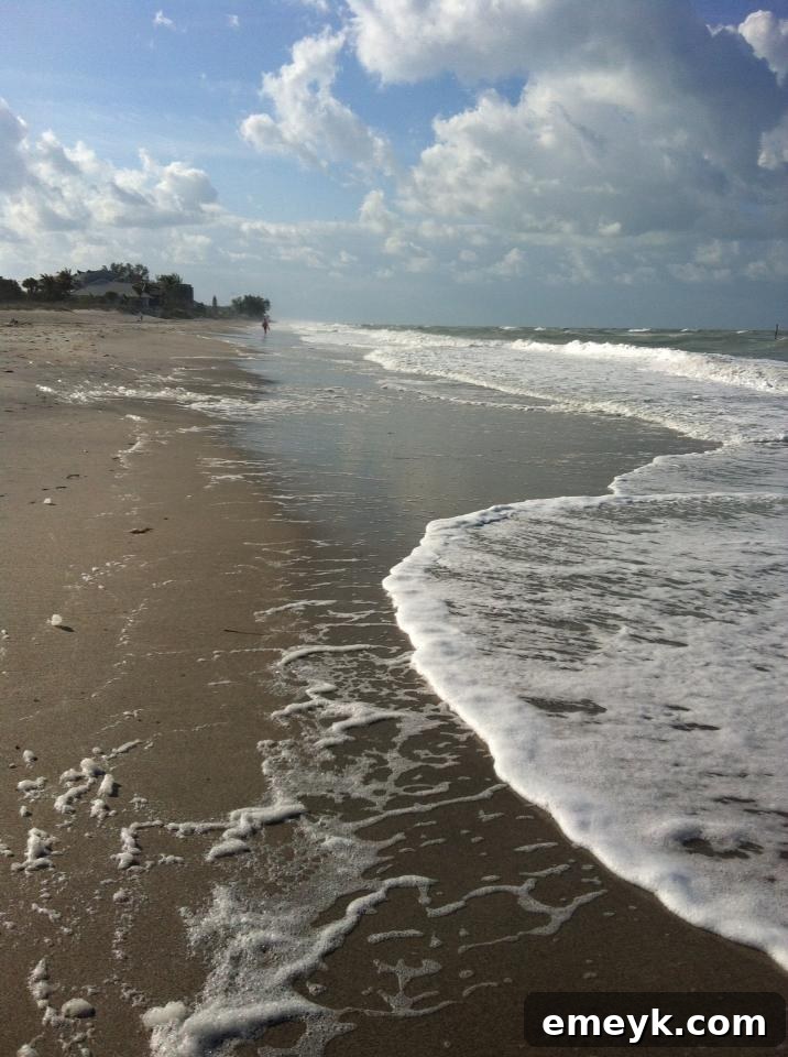 Emerald Elixir 3 Florida Beach
