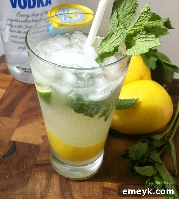 Tangy Lime Vodka Refresher 4 A refreshing Lemon Lime Vodka Cooler with fresh garnishes