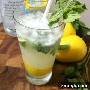 Tangy Lime Vodka Refresher 5 Lemon Lime Vodka Cooler
