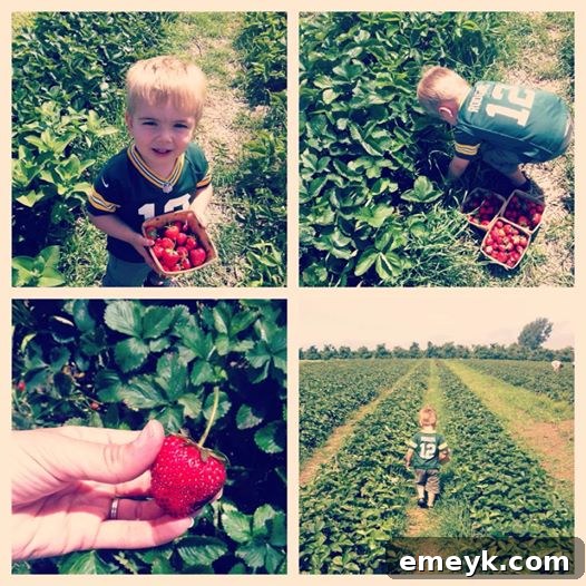 A child's hand reaching for ripe red strawberries in a field, symbolizing summer joy and fresh produce.