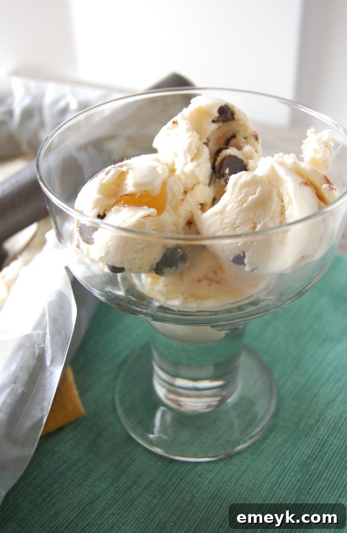 Whipped Peppermint Chip Bliss 3 Close-up of creamy Peppermint Ice Cream with chocolate chips
