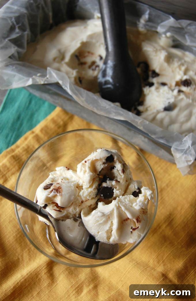 Whipped Peppermint Chip Bliss 4 Creamy Peppermint Chip Ice Cream in a bowl with a spoon