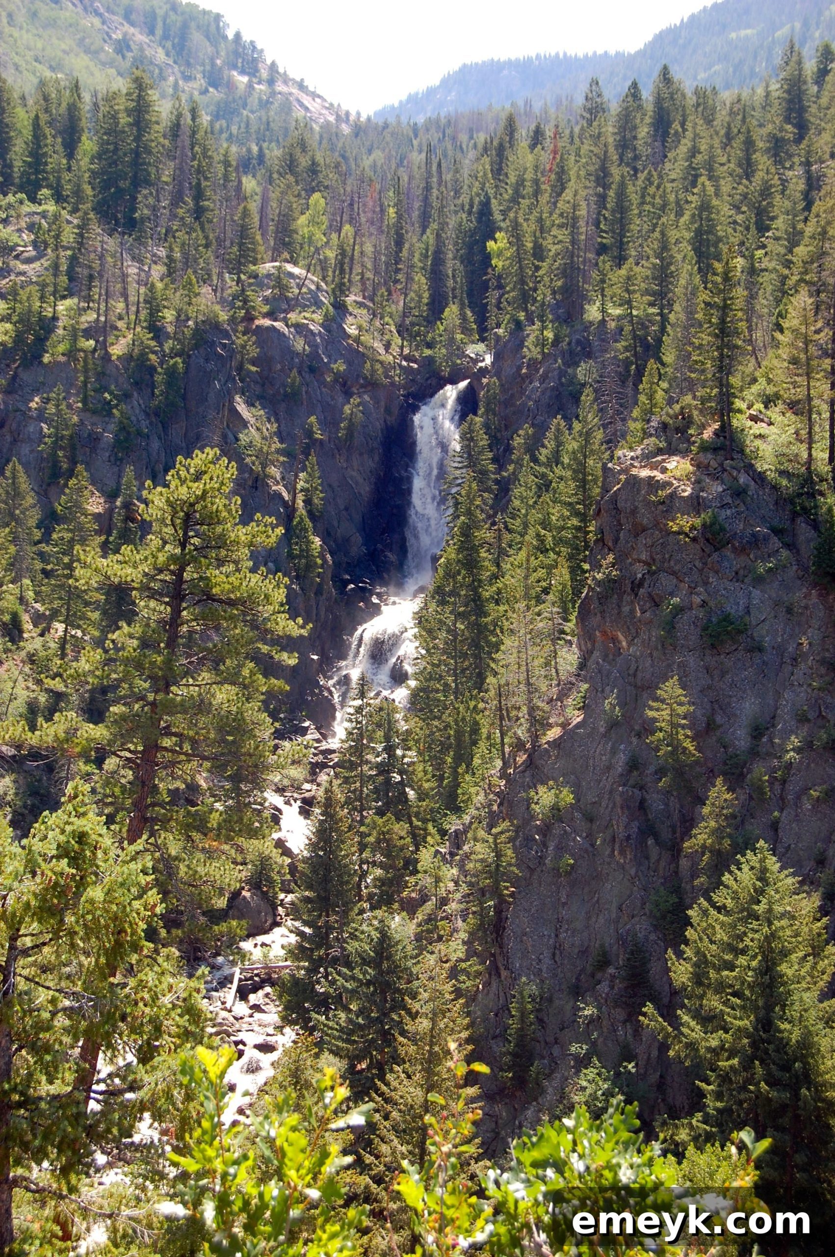 Mountain Scenery in Steamboat Springs
