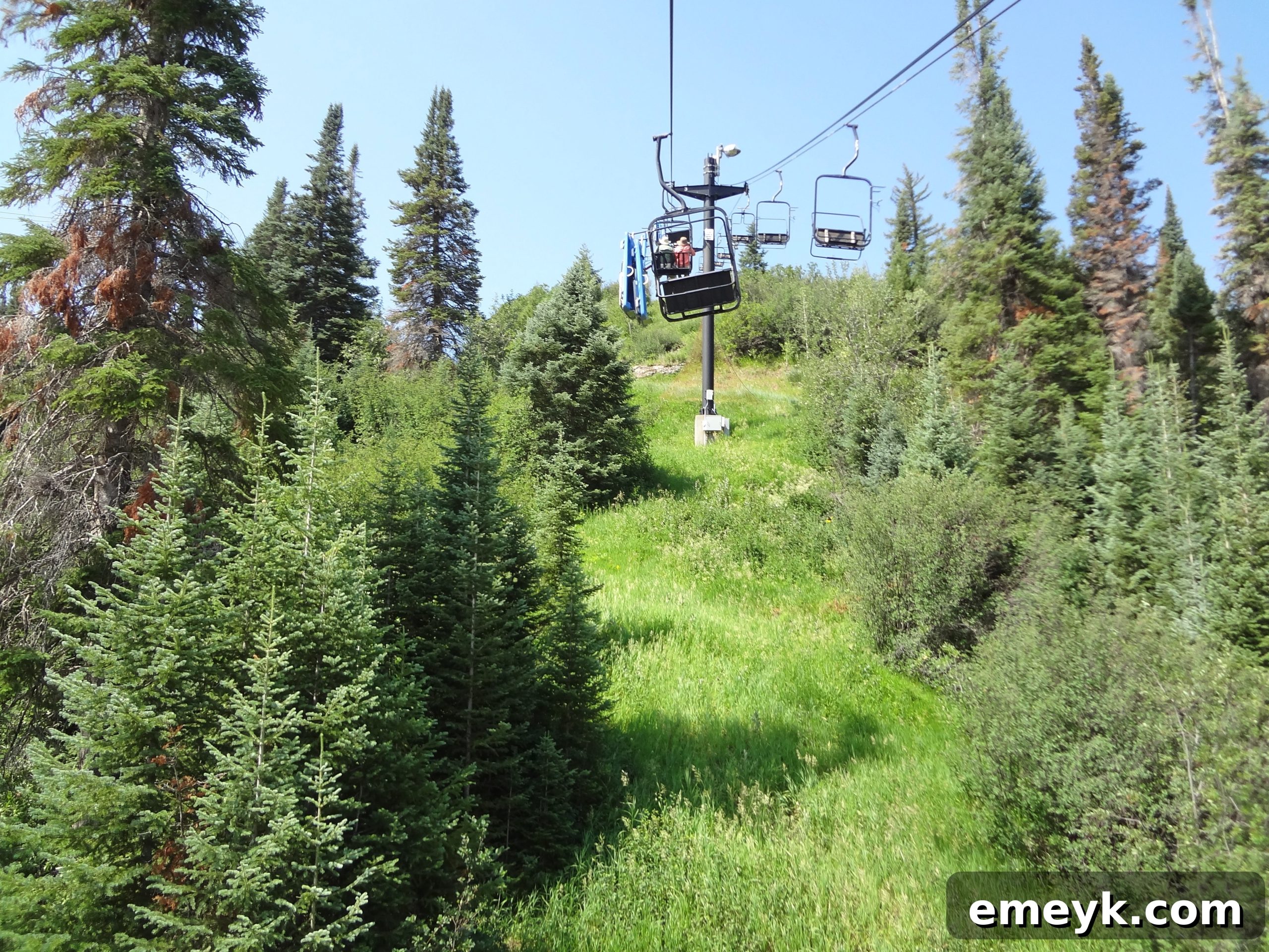 Colorado Contrasts: Denver and Steamboat Springs 26 Riders on Steamboat Springs Alpine Slide