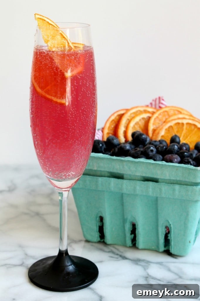 Citrus Hibiscus Fizz, a sparkling and tart non-alcoholic beverage