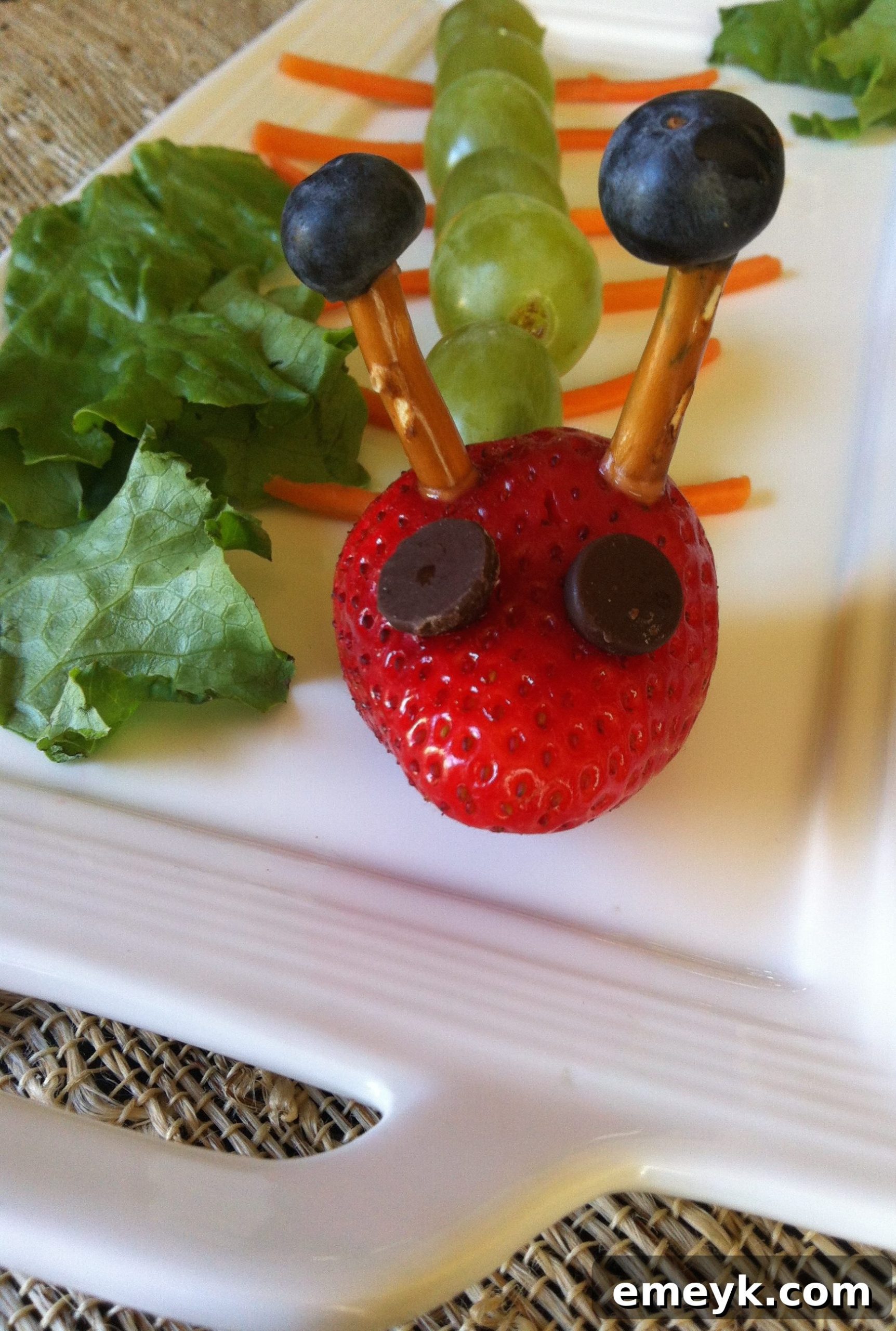 Fruit Caterpillar made with grapes and strawberries