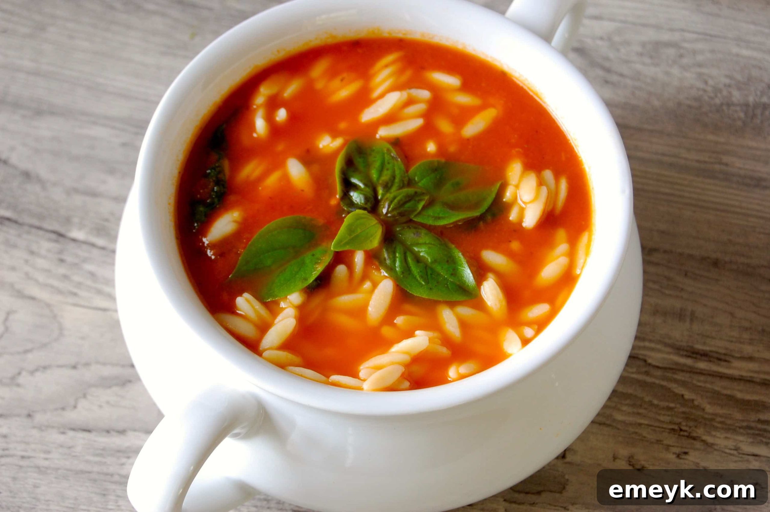 Hearty Tomato Spinach Orzo 2 Tomato Spinach Orzo Soup served in a bowl with fresh basil garnish