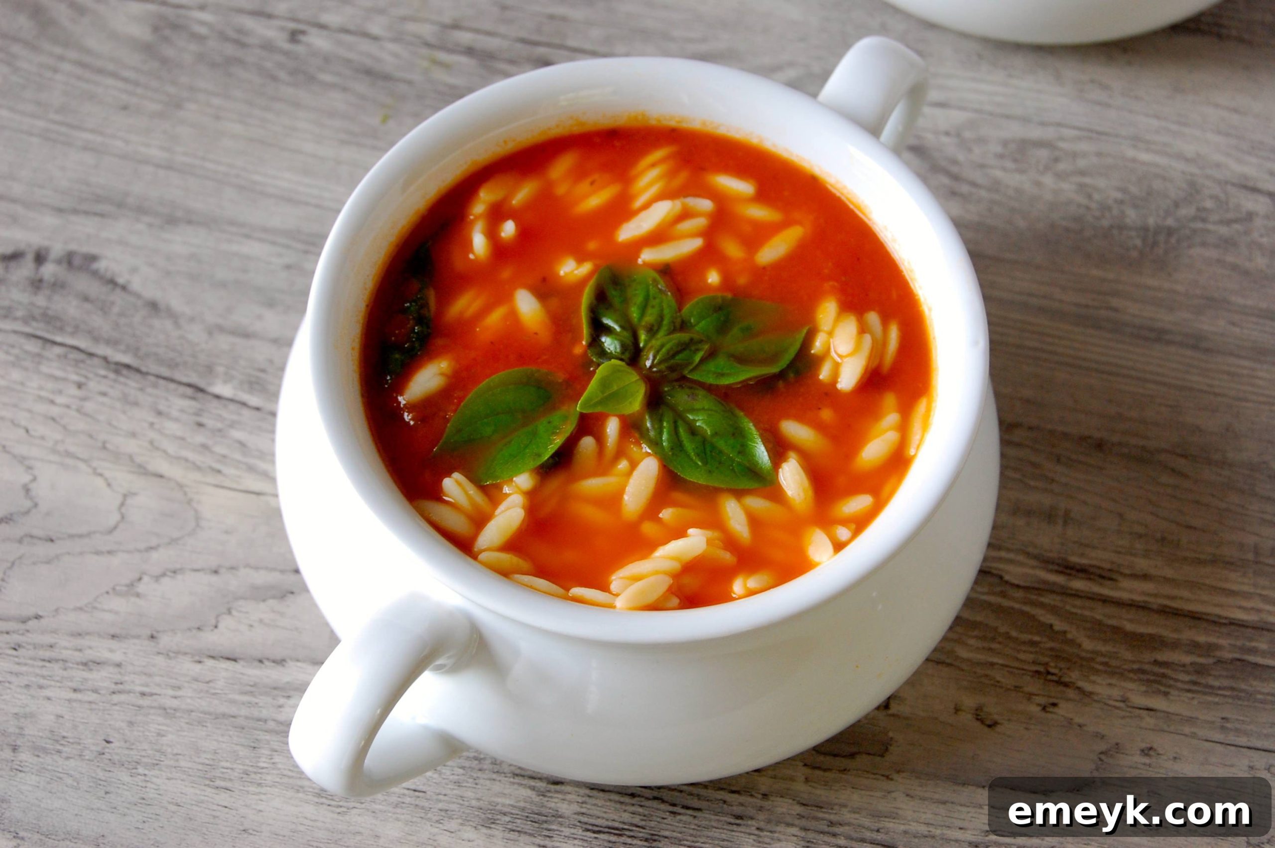 Hearty Tomato Spinach Orzo 3 Fresh ingredients for Tomato Spinach Orzo Soup laid out on a cutting board