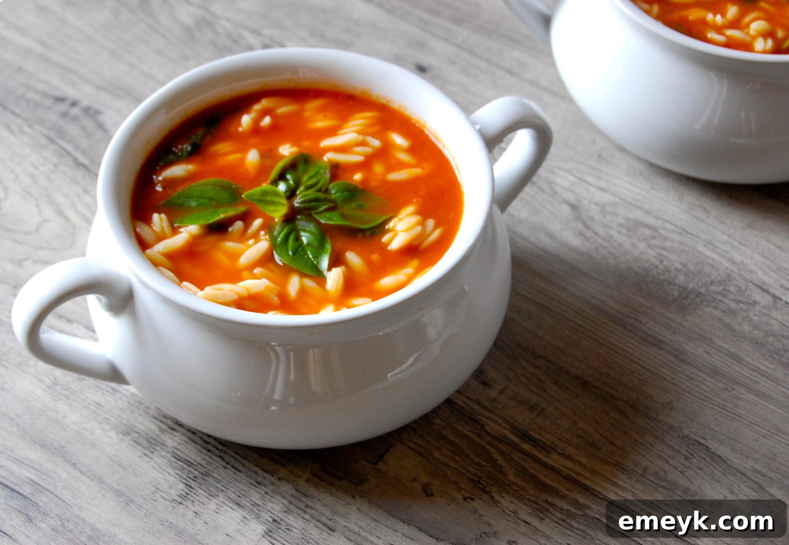 Hearty Tomato Spinach Orzo 4 Tomato Spinach Orzo Soup simmering in a large pot