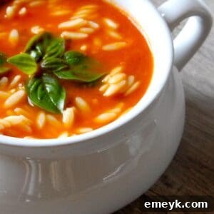 Tomato Spinach Orzo Soup