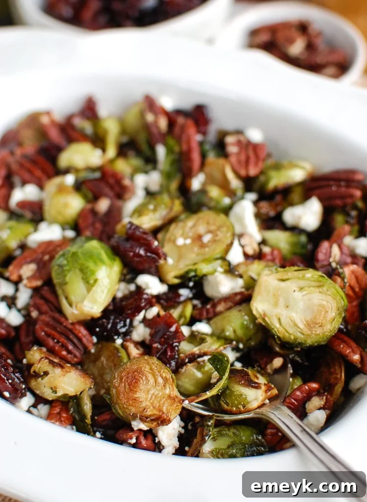 Close-up of roasted Brussels Sprouts with Cranberries, Blue Cheese, and Pecans, ready to be served with a spoon.