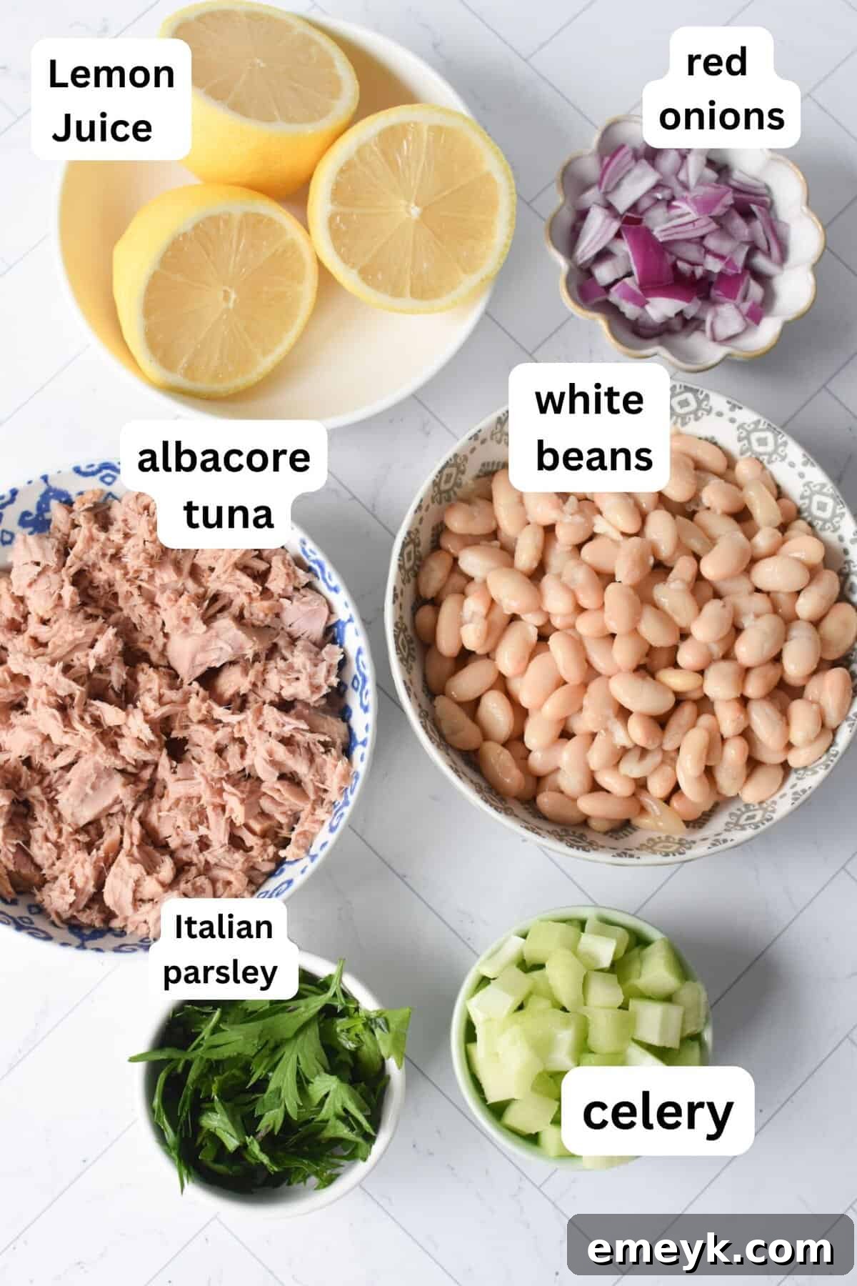 Collection of fresh ingredients for Tuna White Bean Salad including canned tuna, white beans, lemon, celery, and parsley.