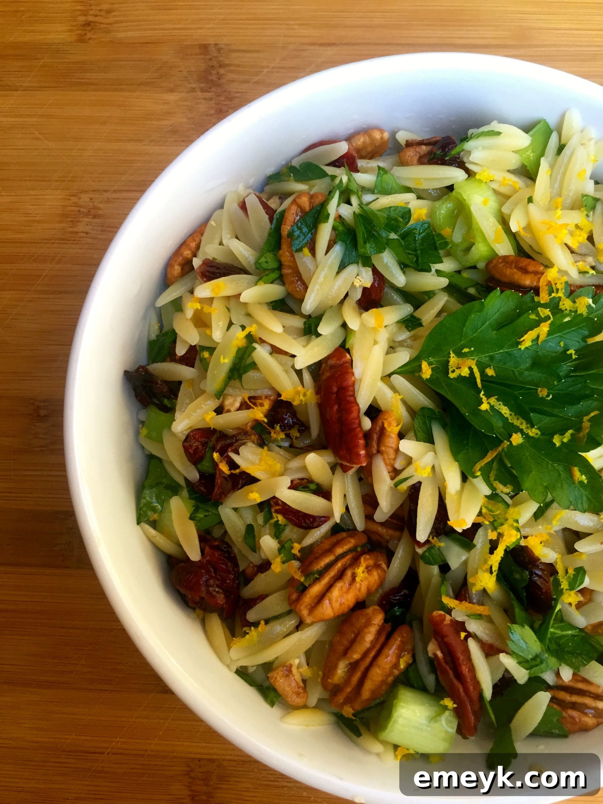Vibrant Cranberry Orange Orzo Salad with Toasted Pecans 2 Vibrant Cranberry Pecan Orange Orzo Pasta Salad with fresh parsley garnish, ready to serve.