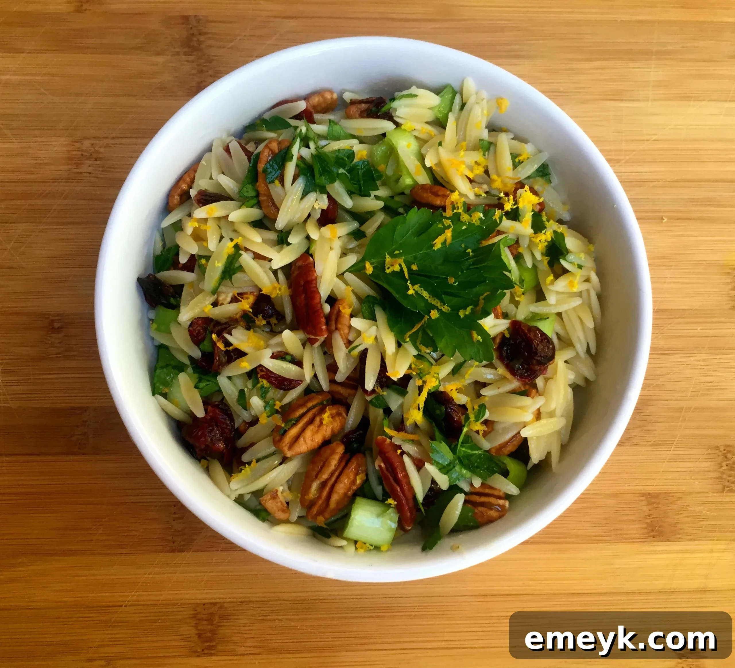 Vibrant Cranberry Orange Orzo Salad with Toasted Pecans 3 Close-up of Cranberry Pecan and Orange Orzo Salad, showcasing tender orzo, bright cranberries, and crunchy pecans.