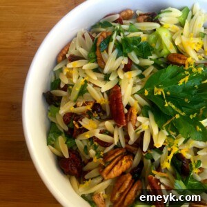 Beautifully presented Cranberry, Pecan and Orange Orzo Pasta Salad, ready to be enjoyed.