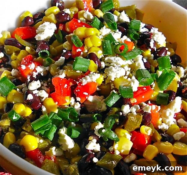 Embrace the Colors of Wellness 35 Black Bean and Feta Cheese Dip, a creamy and flavorful dip