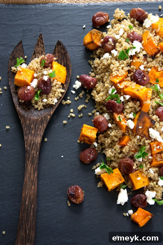 Embrace the Colors of Wellness 14 Butternut Squash Quinoa Salad with Goat Cheese and Roasted Grapes, a warm salad with autumnal colors