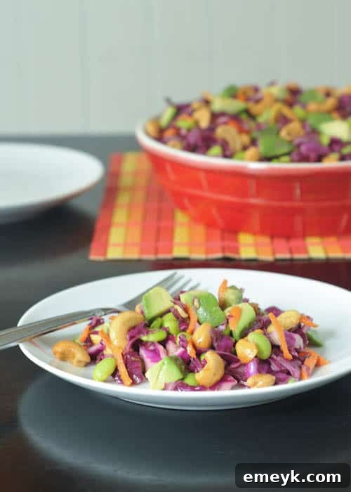 Embrace the Colors of Wellness 5 Crispy Cashew Cabbage Crunch Salad with a colorful mix of shredded cabbage and other vegetables