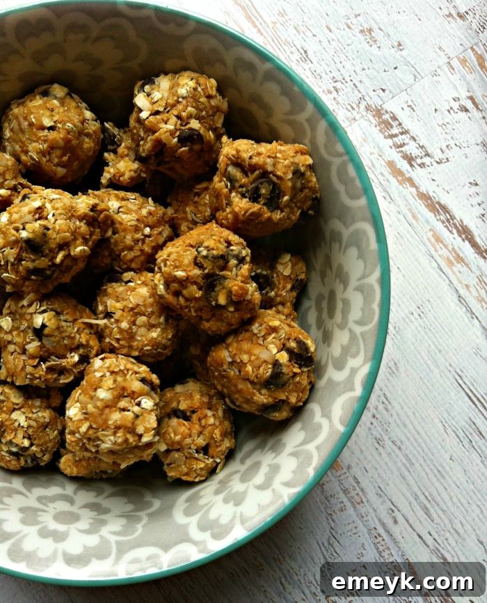 Quick Coconut Cranberry Fuel Bites 5 Peanut-Butter-Coconut-Oatmeal-Bites-1
