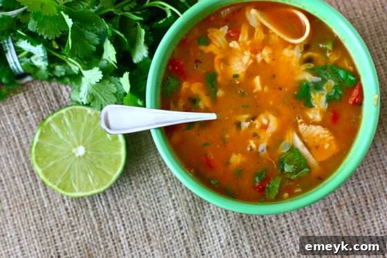 Spicy Tortilla Soup, garnished with crispy tortilla strips, avocado, and lime.