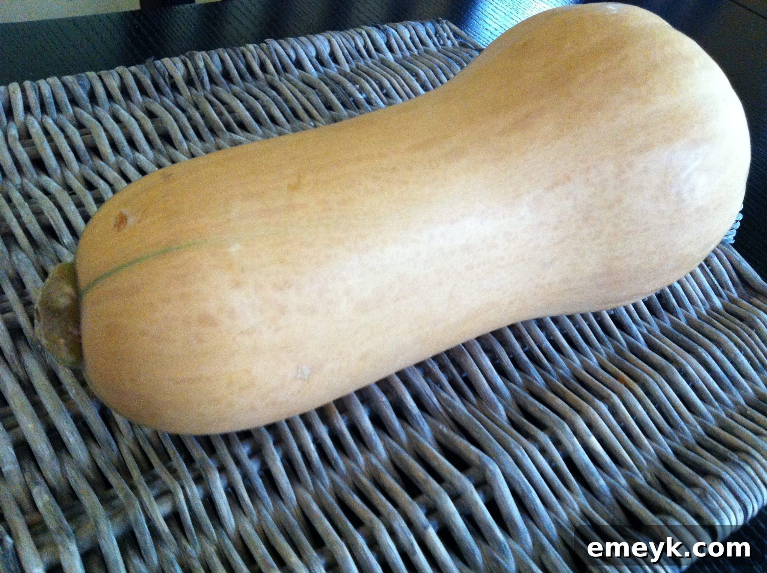 Whole Butternut Squash for Soup Whole butternut squash ready for roasting for homemade soup