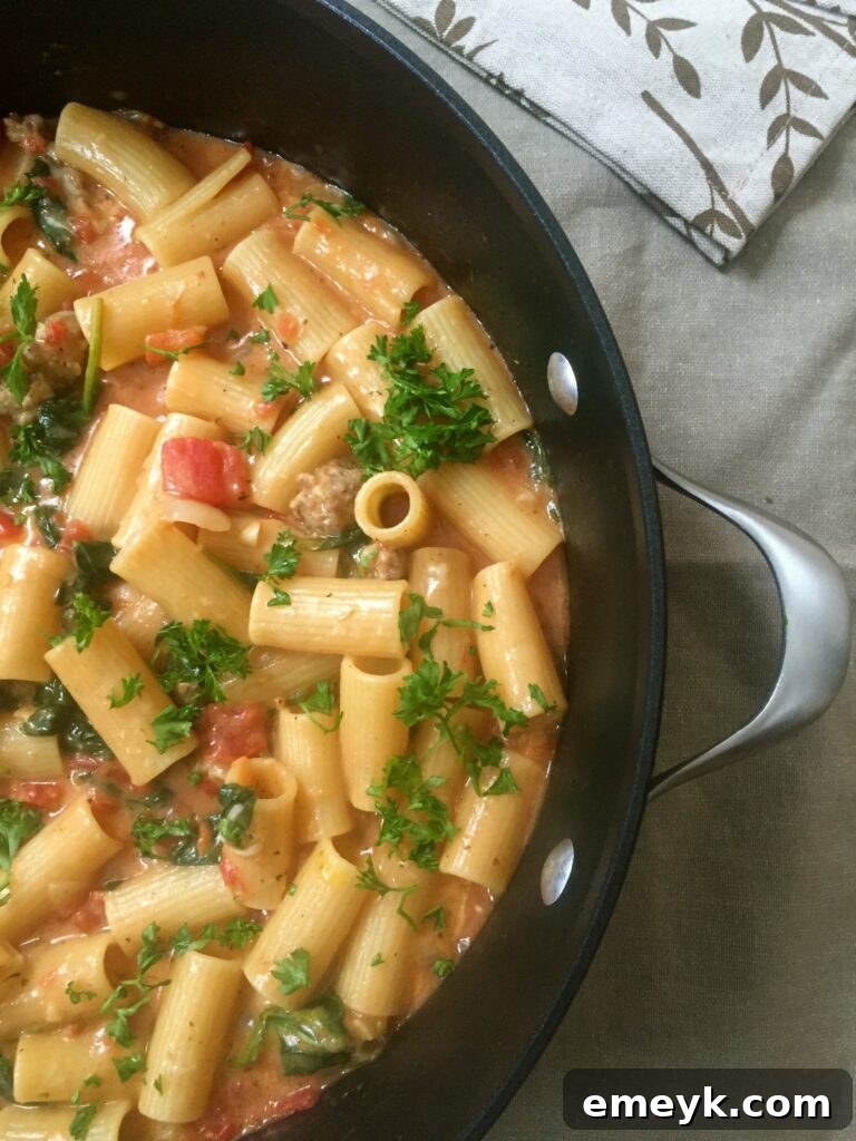 A hearty serving of One Pot Cheesy Sausage Pasta, featuring Italian sausage, pasta, and melted cheese in a rich sauce.