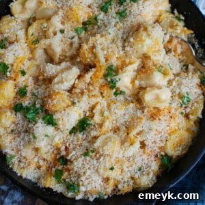 Baked Mac and Cheese with Panko Breadcrumbs in a baking dish.