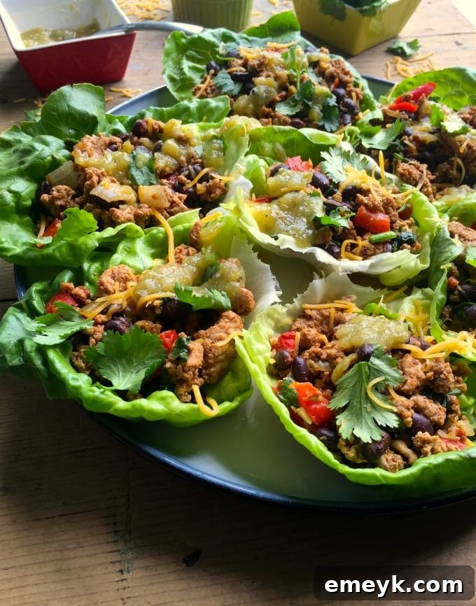 Crisp Mexican Turkey Wraps 4 A serving of Mexican Turkey Lettuce Wraps garnished with fresh cilantro and salsa.
