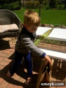 Will husking corn, showcasing the vibrant colors of fresh produce.