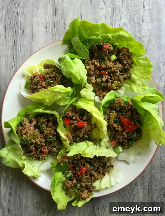 Thai Turkey Quinoa Lettuce Wraps - yum