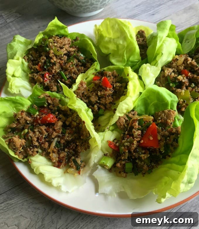 Thai Turkey Quinoa Lettuce Wraps - healthy dinner