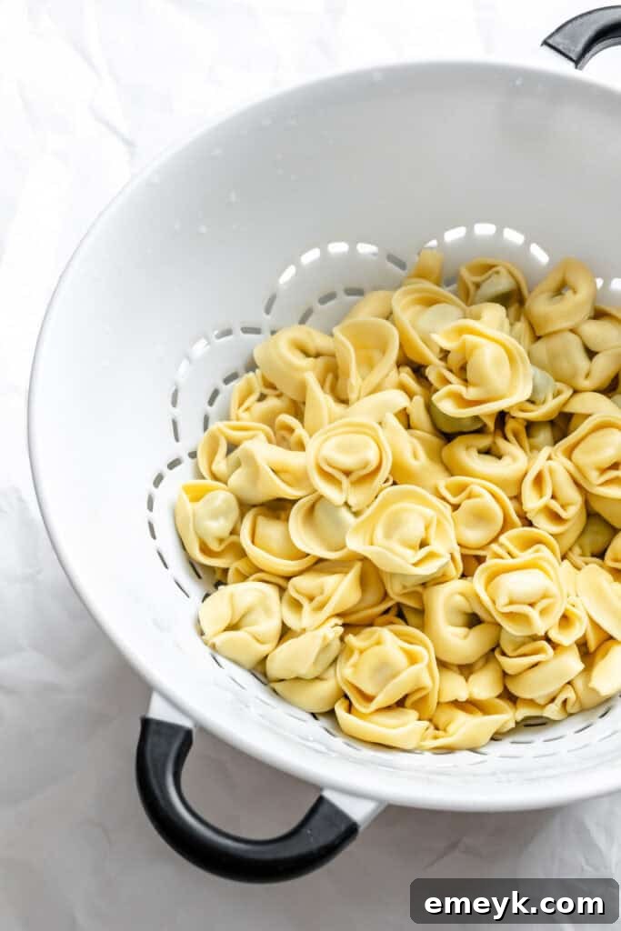 Drained tortellini resting in a colander, ready to be mixed with sauce.