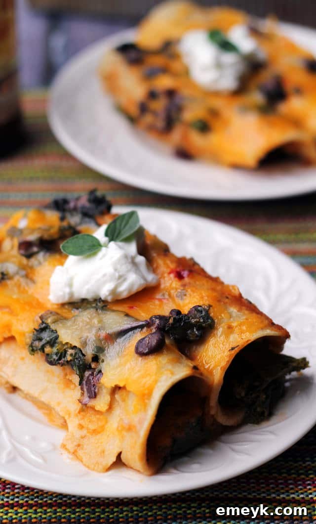 Delicious Black Bean and Kale Enchiladas with savory Ranchero Sauce.