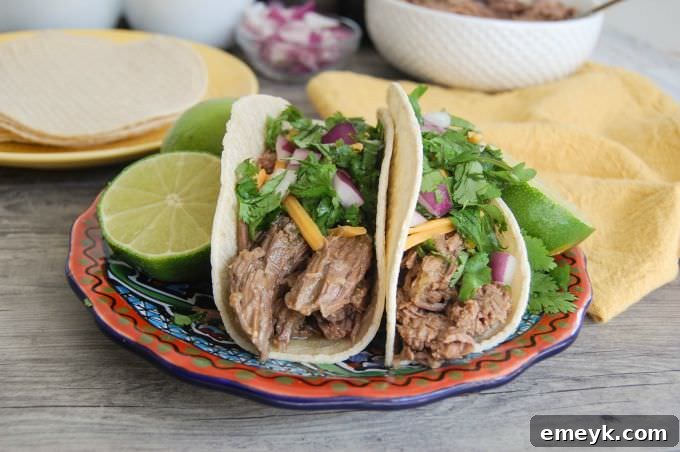 Close-up of shredded beef tacos garnished with fresh cilantro